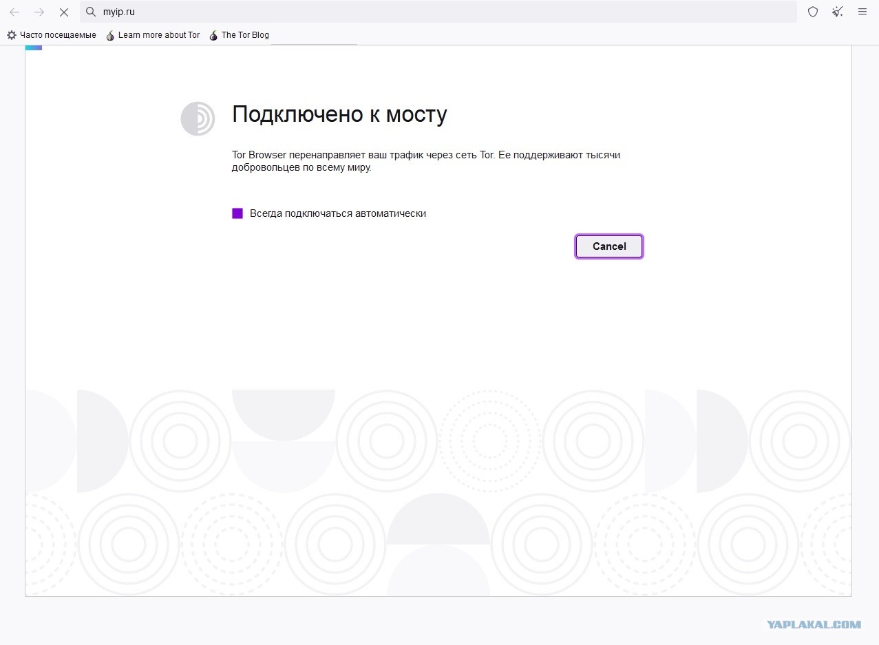 Даркнет официальный сайт на русском