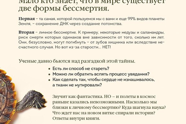 Кракен актуальное зеркало