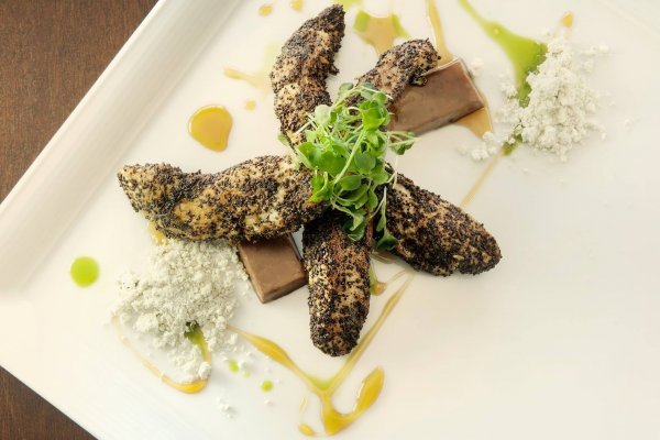Kraken onion link