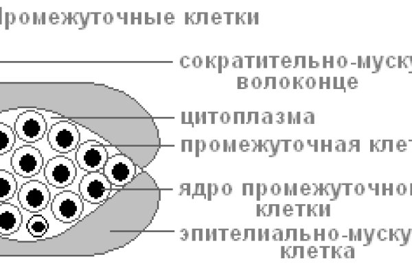 Кракен сайт купить наркотики