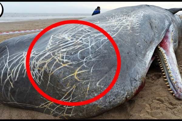 Зайти на сайт кракен