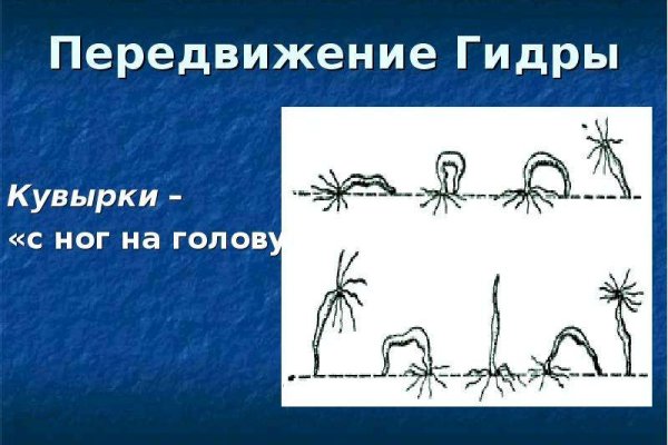 Kraken ссылка kraken torion