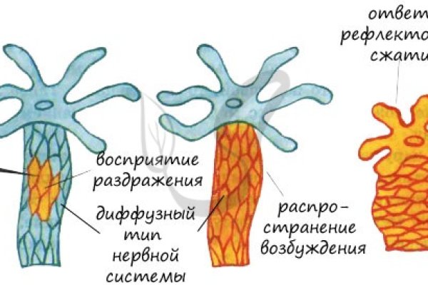 Кракен ссылка работает