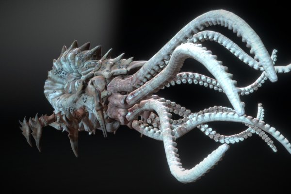 Kraken kraken dark link