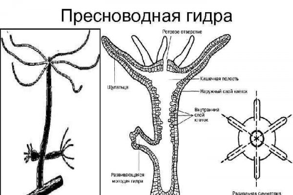 Как зарегистрироваться на сайт из россии